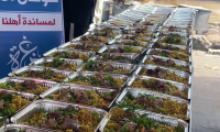 إعداد وتوزيع وجبات إفطار الصائمين في غزة - فيديو 263 من حملة طوفان الأمل