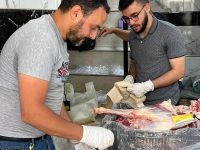 للعام الـ33 على التوالي.. مشروع