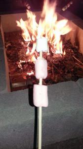 متعة الصيف.. مخيّم للطالبات في البقاع-003