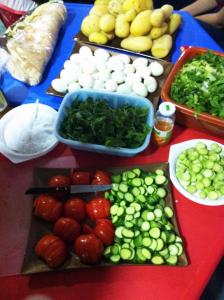 متعة الصيف.. مخيّم للطالبات في البقاع-006