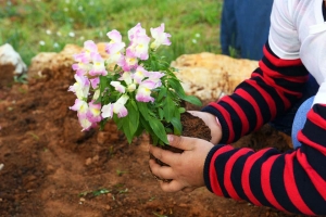 وفي ذلك فليتنافس المتنافسون.. نشاط ترفيهي لأبناء مؤسسة نماء في مدرسة الحياة الدولية