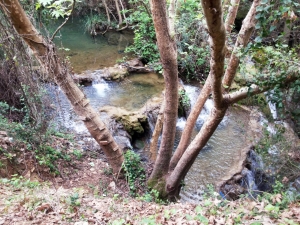 الأخوة ربيع القلوب.. مخيم لأشبال عالم الفرقان في بيروت