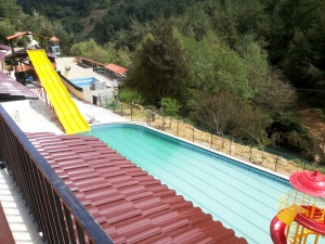 الأخوة ربيع القلوب.. مخيم لأشبال عالم الفرقان في بيروت