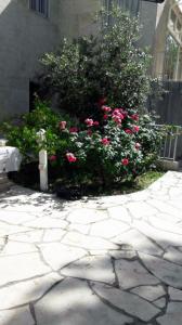 روّحي عن قلبكِ..-002