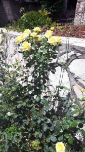 روّحي عن قلبكِ..-003