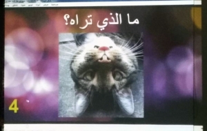 عالم الفرقان في بيروت يختتم شهر (مهارة التفكير وتنشيط الذاكرة)