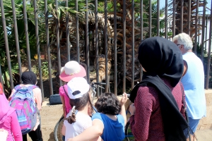 انطلاق دورة عالمي الصيفي للفتيات في طرابلس