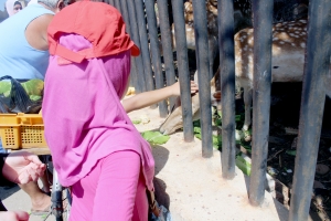 انطلاق دورة عالمي الصيفي للفتيات في طرابلس