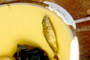 انطلاق دورة عالمي الصيفي للفتيات في طرابلس