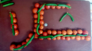 مؤسسة نماء: تقديم 500 وجبة باردة للعائلات المستحقة في طرابلس