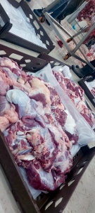 أكثر من ١٩٠٠ أضحية ضمن مشروع سنّة الأضاحي لعام ١٤٤٥هـ : "أُضحيتُكُم أُجورٌ وسرور"