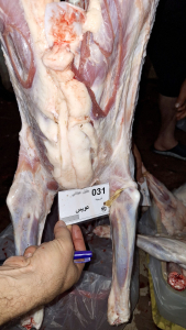 أكثر من ١٩٠٠ أضحية ضمن مشروع سنّة الأضاحي لعام ١٤٤٥هـ : "أُضحيتُكُم أُجورٌ وسرور"