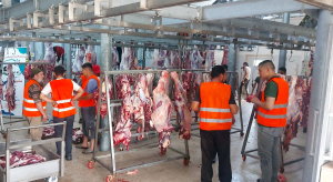 أكثر من ١٩٠٠ أضحية ضمن مشروع سنّة الأضاحي لعام ١٤٤٥هـ : "أُضحيتُكُم أُجورٌ وسرور"