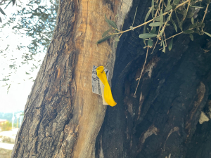 رحلة ترفيهية تربوية لطلاب نادي الفرقان الشتوي في طرابلس إلى قلعة بربر آغا التاريخية