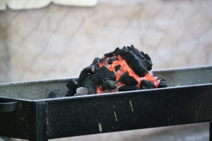 رحلة مائية إلى عيون السمك لطلاب عالم الفرقان في طرابلس