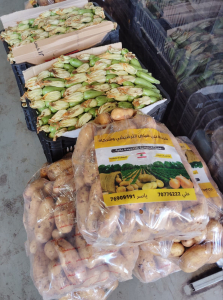 صنائع المعروف: توزيع الوجبات الباردة على الأسر المتعففة في طرابلس خلال شهر أيلول