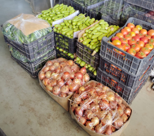 صنائع المعروف: توزيع الوجبات الباردة على الأسر المتعففة في طرابلس خلال شهر أيلول