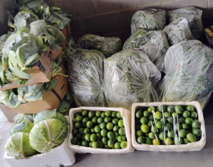 صنائع المعروف: توزيع الوجبات الباردة على الأسر المتعففة في طرابلس خلال شهر أيلول