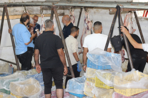 أكثر من ١٩٠٠ أضحية ضمن مشروع سنّة الأضاحي لعام ١٤٤٥هـ : "أُضحيتُكُم أُجورٌ وسرور"