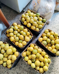 صنائع المعروف.. توزيع وجبات الإفطار الباردة والسحور وحلو العيد على العائلات المستحقة في طرابلس