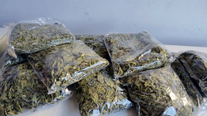 صنائع المعروف.. توزيع وجبات الإفطار الباردة والسحور وحلو العيد على العائلات المستحقة في طرابلس