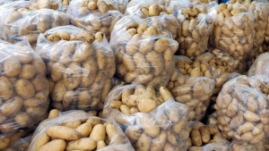 صنائع المعروف: 200 عائلة مستفيدة من الوجبات الباردة خلال شهر آب