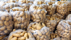 150 عائلة في طرابلس تستفيد من الوجبات الباردة ضمن مشروع "صنائع المعروف" خلال شهر أيلول