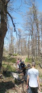 هايكينغ، ألعاب جماعية، أخوّة، وروح تنافسية.. طلاب عالم الفرقان يتألقون في مغامرة غابة العزر