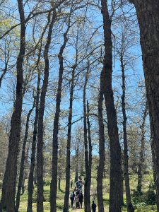 هايكينغ، ألعاب جماعية، أخوّة، وروح تنافسية.. طلاب عالم الفرقان يتألقون في مغامرة غابة العزر