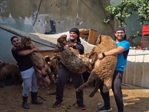 WhatsApp Image 2025-06-11 at 7.04.57 PM (1)