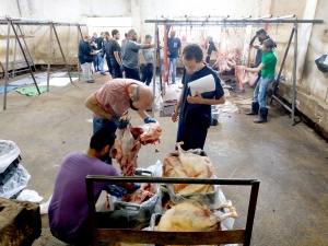 سنّة وفرحة بعيد الأضحى.. 3000 عائلة تستفيد من مشروع سنّة الأضاحي عبر مؤسسة نماء