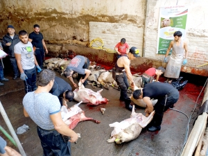 سنّة وفرحة بعيد الأضحى.. 3000 عائلة تستفيد من مشروع سنّة الأضاحي عبر مؤسسة نماء