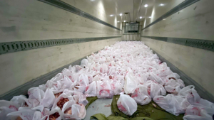 مشروع سنّة الأضاحي للعام 1442هـ: 7000 عائلة مستفيدة في لبنان