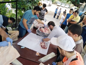 سنّة وفرحة بعيد الأضحى.. 5000 عائلة تستفيد من مشروع سنّة الأضاحي عبر مؤسسة نماء