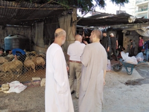 سنّة وفرحة بعيد الأضحى.. 5000 عائلة تستفيد من مشروع سنّة الأضاحي عبر مؤسسة نماء