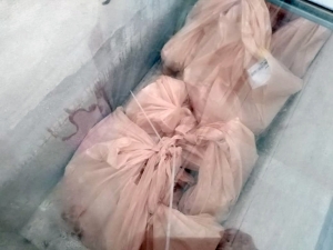 سنّة وفرحة بعيد الأضحى.. 5000 عائلة تستفيد من مشروع سنّة الأضاحي عبر مؤسسة نماء