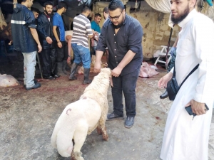 سنّة وفرحة بعيد الأضحى.. 5000 عائلة تستفيد من مشروع سنّة الأضاحي عبر مؤسسة نماء