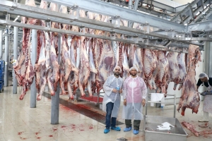 سنّة وفرحة بعيد الأضحى.. 5000 عائلة تستفيد من مشروع سنّة الأضاحي عبر مؤسسة نماء