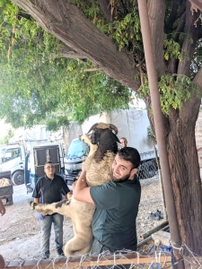 سنّة وفرحة بعيد الأضحى.. 5000 عائلة تستفيد من مشروع سنّة الأضاحي عبر مؤسسة نماء