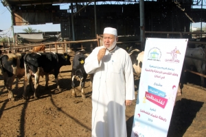 سنّة وفرحة بعيد الأضحى.. 6000 عائلة تستفيد من مشروع سنّة الأضاحي عبر مؤسسة نماء