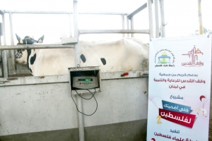 سنّة وفرحة بعيد الأضحى.. 6000 عائلة تستفيد من مشروع سنّة الأضاحي عبر مؤسسة نماء