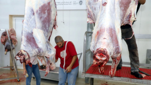 مشروع سنّة الأضاحي لعام 2020: 501 أضحية وأكثر من 1500 عائلة مستفيدة