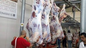 مشروع سنّة الأضاحي لعام 2020: 501 أضحية وأكثر من 1500 عائلة مستفيدة