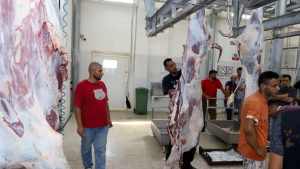 مشروع سنّة الأضاحي لعام 2020: 501 أضحية وأكثر من 1500 عائلة مستفيدة