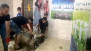 مشروع سنّة الأضاحي لعام 2020: 501 أضحية وأكثر من 1500 عائلة مستفيدة