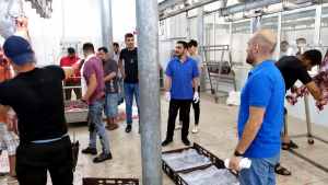 مشروع سنّة الأضاحي لعام 2020: 501 أضحية وأكثر من 1500 عائلة مستفيدة