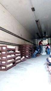 مشروع سنّة الأضاحي لعام 2020: 501 أضحية وأكثر من 1500 عائلة مستفيدة