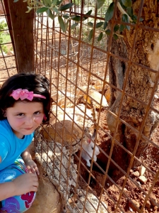 الأسبوع السادس والأخير من دورة (عالمي الصيفي) في طرابلس