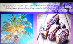 عالم الفرقان يطلق دورة اللقاءات الربيعية في عرمون تحت عنوان: "أينما زرعكِ الله أزهري"