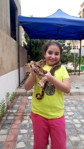 فرحة عيد بجوّ جديد (2).. مهرجان العيد للشابات والفتيات في عرمون